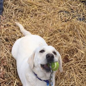 Meet your Posher, Kaitlyn